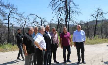 Δήλωση του Περιφερειάρχη ΑΜΘ Χρήστου Μέτιου για τις συσκέψεις του κυβερνητικού κλιμακίου στην Αλεξανδρούπολη αναφορικά με τις πυρκαγιές  Τα μέτρα που ανακοίνωσε η κυβέρνηση
