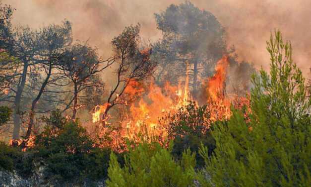 ΕΥΤΥΧΩΣ ΠΟΥ Ο ΘΕΟΣ ΤΗΣ ΘΡΑΚΗΣ ΜΑΣ ΛΥΠΗΘΗΚΕ ΚΑΙ ΕΣΤΕΙΛΕ ΤΗΝ ΒΡΟΧΗ