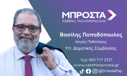 Βιογραφικό Βασίλη Παπαδόπουλου