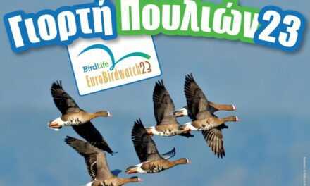 Ευρωπαϊκή Γιορτή των Πουλιών 2023 Μια γιορτή αφιερωμένη στη φθινοπωρινή μετανάστευση