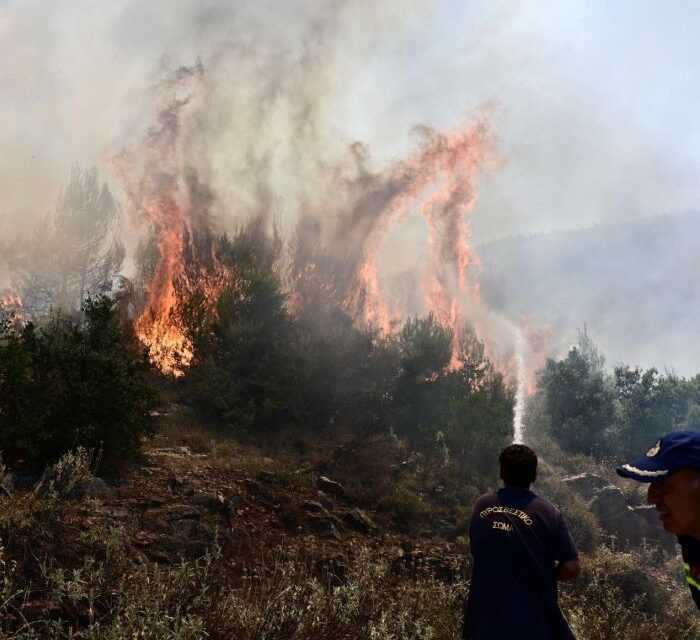 Έσβησε η φωτιά στην Θαλασσιά Ξάνθης