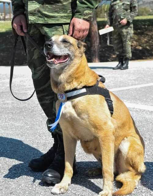 Καταστρατηγεί τον νόμο το Υπουργείο Εθνικής Αμύνης;