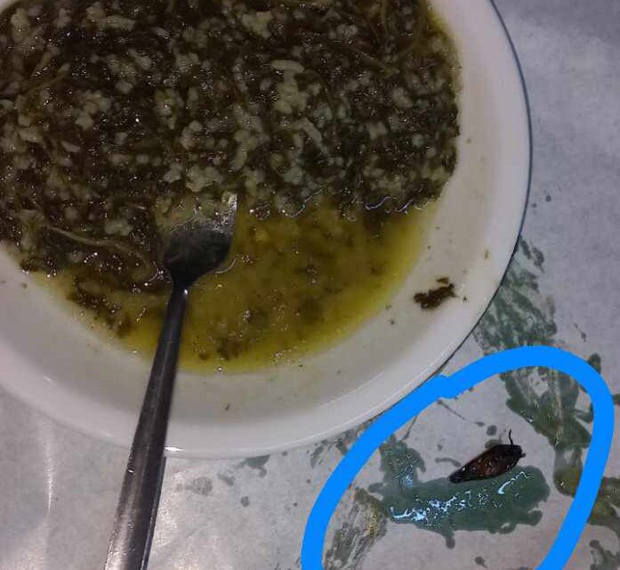 Εύρεση κατσαρίδας στο φαγητό στη φοιτητική λέσχη των εστιών Ξάνθης