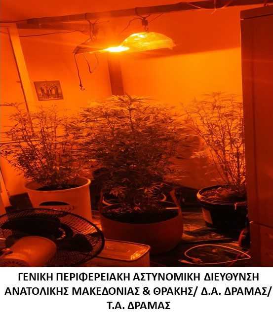 Κατασχέθηκαν μία πλήρης εξοπλισμένη εγκατάσταση υδροπονικής καλλιέργειας φυτών κάνναβης, 20 φυτά κάνναβης και μικροποσότητα  ακατέργαστης κάνναβης 