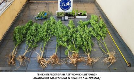 ΔΡΑΜΑ: Μετέτρεψε το σπίτι του σε φυτεία χασίς