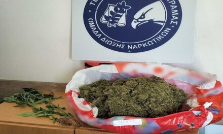 Συνελήφθη ημεδαπός κατηγορούμενος για καλλιέργεια και κατοχή ναρκωτικών