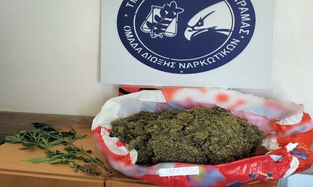 Συνελήφθη ημεδαπός κατηγορούμενος για καλλιέργεια και κατοχή ναρκωτικών