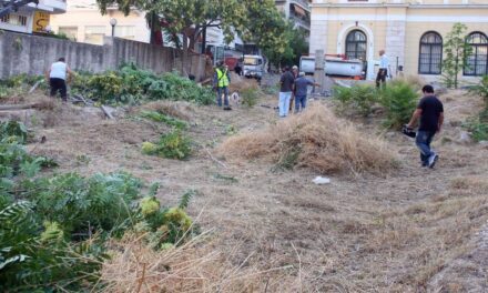 Τρέχουν οι ιδιοκτήτες – Δόθηκε παράταση για τα ακαθάριστα οικόπεδα Μέχρι τις 30 Ιουνίου η υποβολή δήλωσης στο akatharista.apps.gov.gr – Την Παρασκευή λήγει η προθεσμία για τον Κανονισμό Πυροπροστασίας για ακίνητα κοντά και μέσα σε δασικές εκτάσεις