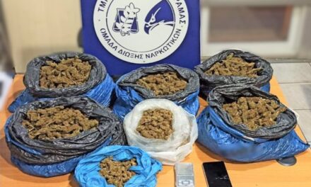 Από αστυνομικούς του Τμήματος Ασφάλειας Δράμας συνελήφθη αλλοδαπός κατηγορούμενος για αποθήκευση και διακίνηση ναρκωτικών