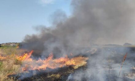 Η πυρκαγιά ξεκίνησε νωρίς το απόγευμα της Πέμπτης με τις πυροσβεστικές δυνάμεις να καταφθάνουν και να τη θέτουν υπό έλεγχο