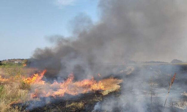 Η πυρκαγιά ξεκίνησε νωρίς το απόγευμα της Πέμπτης με τις πυροσβεστικές δυνάμεις να καταφθάνουν και να τη θέτουν υπό έλεγχο