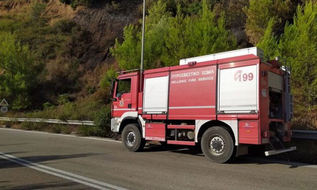 Καβάλα: Οριοθετήθηκε η φωτιά που ξέσπασε σε αγροτοδασική έκταση στην περιοχή Λεύκη
