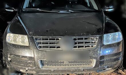 Συνελήφθησαν δύο διακινητές οι οποίοι προωθούσαν στο εσωτερικό της χώρας μη νόμιμους μετανάστες