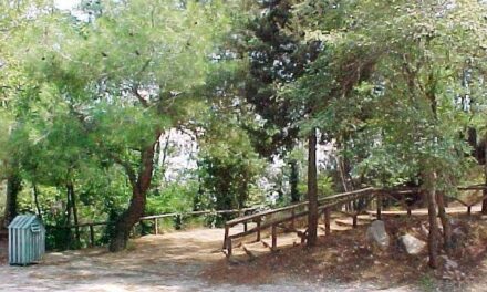 Απαγόρευσης διέλευσης παραμονής και κυκλοφορίας προσώπων και οχημάτων στα περιαστικά δάση της Π.Ε