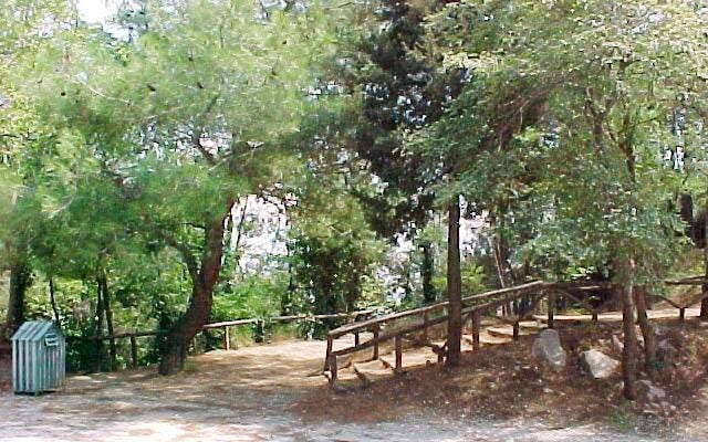 Απαγόρευσης διέλευσης παραμονής και κυκλοφορίας προσώπων και οχημάτων στα περιαστικά δάση της Π.Ε