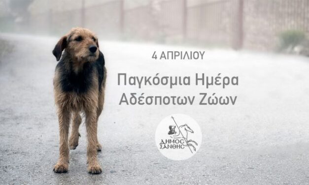 Παγκόσμια Ημέρα Αδέσποτων Ζώων  Σεβασμός και Φροντίδα από Όλους