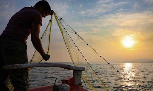 Ανάγκη στήριξης των αλιέων της Θράκης λόγω του φαινομένου της «βλέννας» στο Θρακικό Πέλαγος