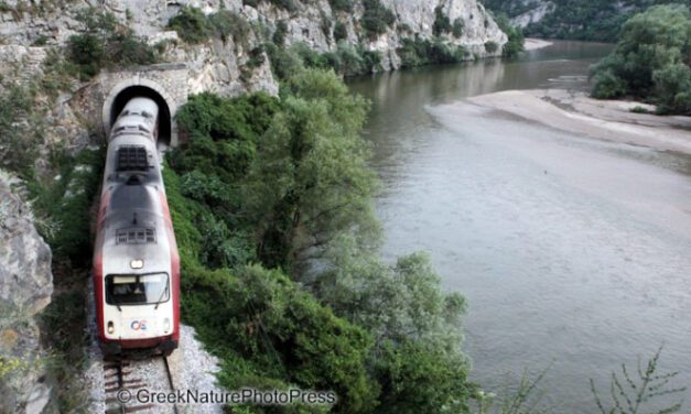 Στο τραπέζι (ξανά) το τουριστικό τρένο στα Στενά του Νέστου – Σύσκεψη στο Παρανέστι