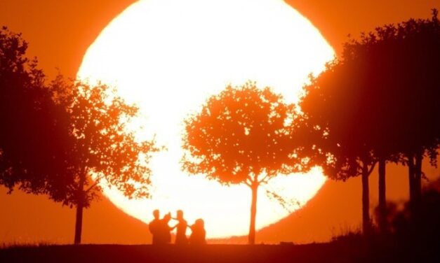 Το φως της ημέρας ενισχύει την άμυνα του οργανισμού απέναντι στις λοιμώξεις