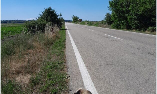 Μεγάλος Νικητής   μόνο ο Θάνατος…..