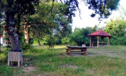 «Εθελοντική Δράση Καθαρισμού Δημοτικού Άλσους Ευμοίρου»