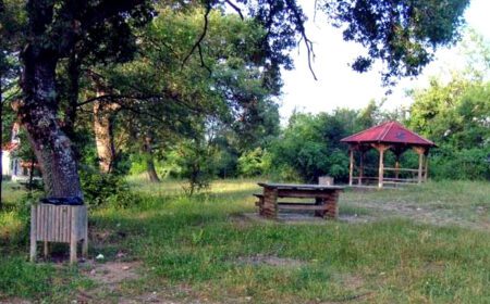 «Εθελοντική Δράση Καθαρισμού Δημοτικού Άλσους Ευμοίρου»