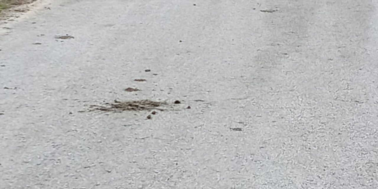 Μία εικόνα χίλιες λέξεις.