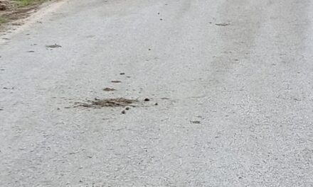 Μία εικόνα χίλιες λέξεις.