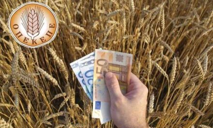 Κατάλυσης Δημοκρατίας από τον ΟΜπεεΚΕΜπεε Τρισάθλιο
