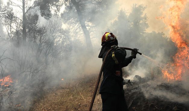 Έσβησε η φωτιά στην ορεινή περιοχή της Χλόης στη Ροδόπη