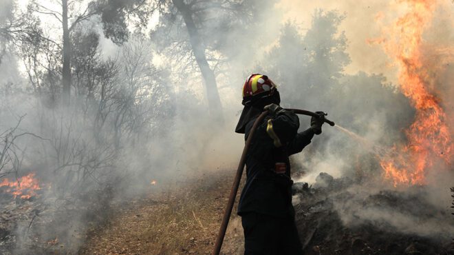Έσβησε η φωτιά στην ορεινή περιοχή της Χλόης στη Ροδόπη