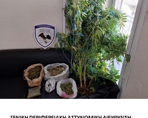 ΝΑΡΚΩΤΙΚΑ: Στο πλαίσιο ειδικών δράσεων για την καταπολέμηση της διάδοσης των ναρκωτικών συνελήφθησαν δεκατέσσερα -14- άτομα σε περιοχές της Ανατολικής Μακεδονίας και Θράκης