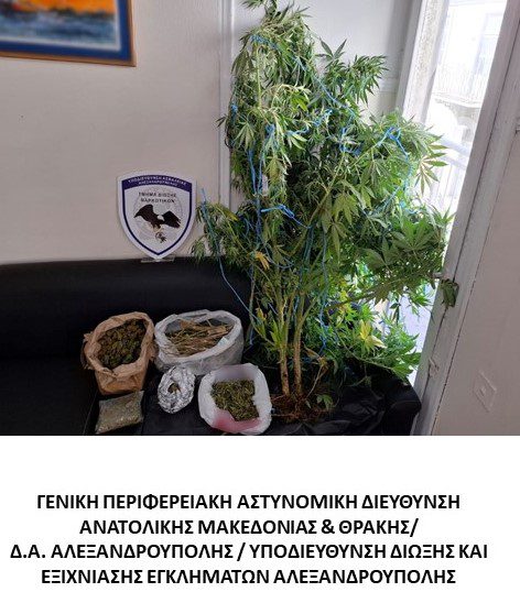 ΝΑΡΚΩΤΙΚΑ: Στο πλαίσιο ειδικών δράσεων για την καταπολέμηση της διάδοσης των ναρκωτικών συνελήφθησαν δεκατέσσερα -14- άτομα σε περιοχές της Ανατολικής Μακεδονίας και Θράκης