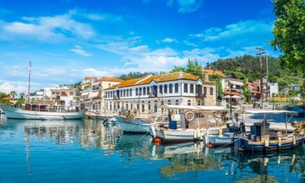 ΘΑΣΟΣ – Ανησυχία για τις πωλήσεις γης σε αλλοδαπούς στη Θάσο