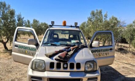 ΚΟΜΑΘ: Σύλληψη δύο λαθροθηρών με υπέρβαση κάρπωσης ορτυκιών στη Ροδόπη