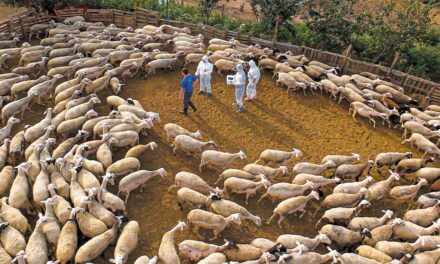 Η ΚΥΒΕΡΝΗΣΗ ΕΧΑΣΕ ΤΟΝ ΠΟΛΕΜΟ ΜΕ ΤΟΥΣ ΚΤΗΝΟΤΡΟΦΟΥΣ