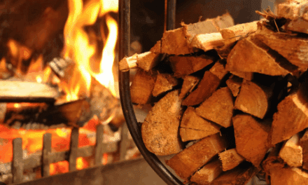 Αυξημένη η ζήτηση στα καυσόξυλα – Φόβοι ότι θα “τσιμπήσουν” οι τιμές όσο σφίγγουν τα κρύα