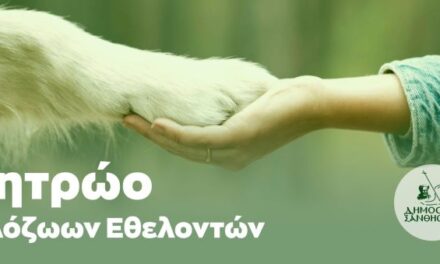 Δημιουργία Μητρώου Φιλόζωων Εθελοντών από τον Δήμο Ξάνθης