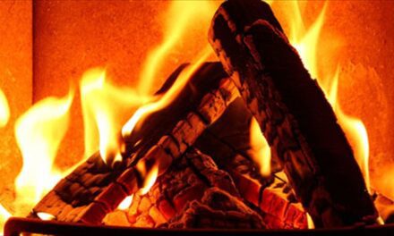 Καυσόξυλα, Μπρικέτες και Πέλετ Νέζο στην Ξάνθη  Λύσεις θέρμανσης από φυσικές πηγές ενέργειας για την περιοχή της Ξάνθης