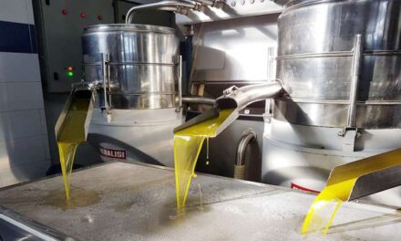 ΑΓΟΡΑ – ΕΠΙΧΕΙΡΗΣΕΙΣ / Ελαιοτριβείο “Το Λιοτρίβι” – Μικρό Τύμπανο Ξάνθης Παράδοση, ποιότητα και καινοτομία στην παραγωγή ελαιολάδου στη Θράκη