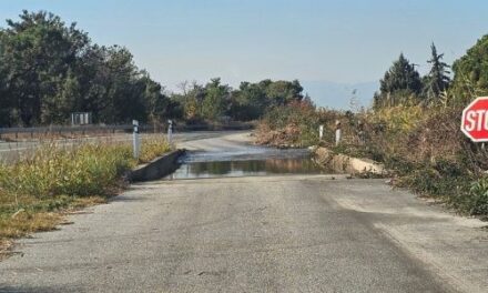 Θράκη: Μειωμένη κατά 40% η παραγωγή γάλακτος λόγω ευλογιάς – Θα λέμε φέτα και θα κλαίμε