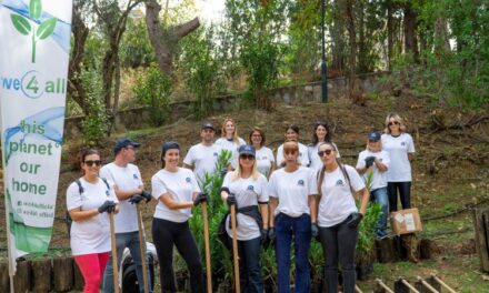 500 δένδρα – ανάσες ζωής από την ΟΛΥΜΠΟΣ σε δήμους και σχολεία της Αττικής