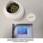Στο πλαίσιο ειδικών δράσεων για την καταπολέμηση της διάδοσης των ναρκωτικών συνελήφθησαν οκτώ -8- άτομα σε περιοχές της Ανατολικής Μακεδονίας και Θράκης