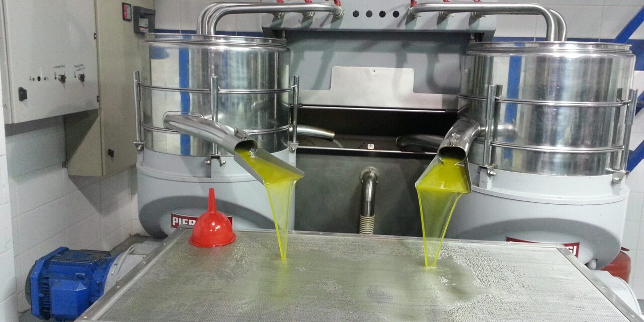 Ελαιοτριβείο “Το Λιοτρίβι” – Μικρό Τύμπανο Ξάνθης Παράδοση, ποιότητα και καινοτομία στην παραγωγή ελαιολάδου στη Θράκη