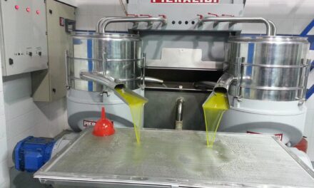 Ελαιοτριβείο “Το Λιοτρίβι” – Μικρό Τύμπανο Ξάνθης Παράδοση, ποιότητα και καινοτομία στην παραγωγή ελαιολάδου στη Θράκη