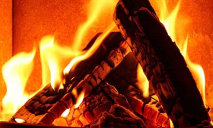 Καυσόξυλα, Μπρικέτες και Πέλετ Νέζο στην Ξάνθη Λύσεις θέρμανσης από φυσικές πηγές ενέργειας για την περιοχή της Ξάνθης