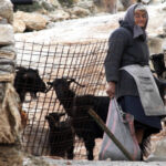 ΕΛΤΑ: Όταν το «γκουβέρνο»  δεν σέβεται τους γερόντους