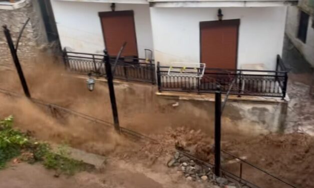 ΕΠΙΚΑΙΡΑΘάσος : Καταστροφές από την κακοκαιρία ADEL σε Παναγία-Ποταμιά